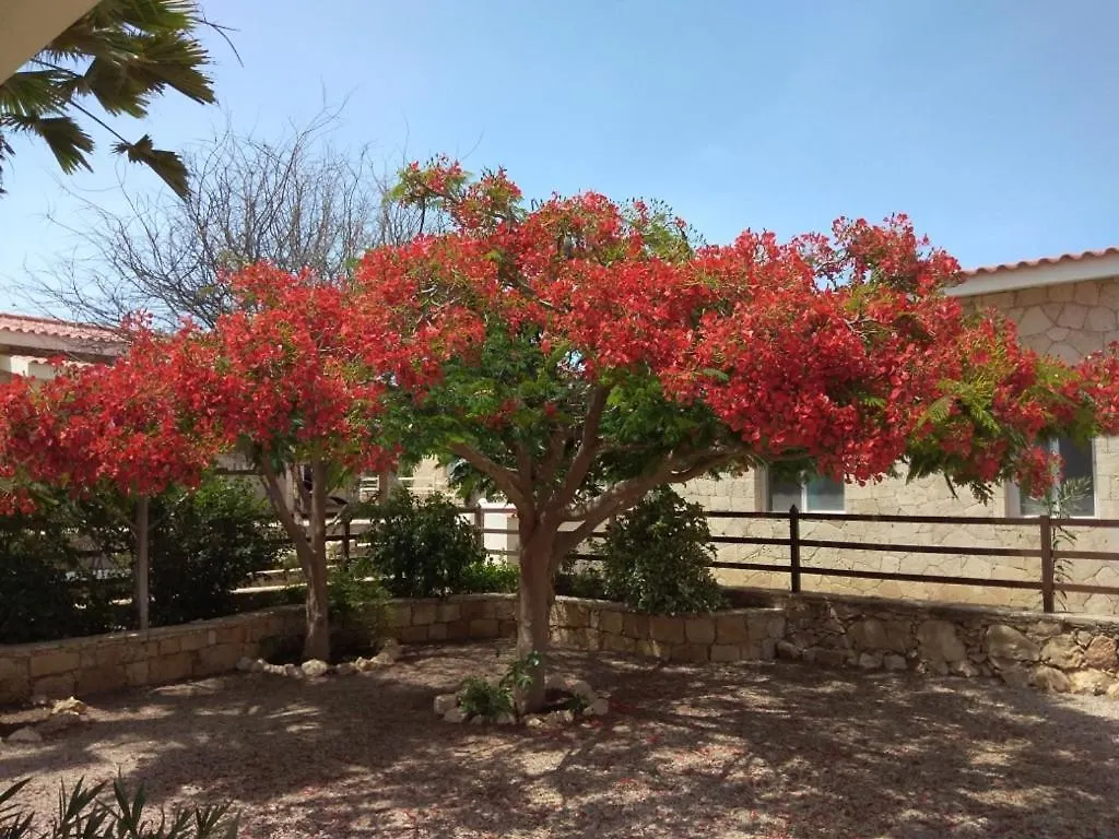 Calheta Casita Solemar Direkt Am Atlantikヴィラ 0*,